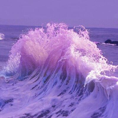 2023年香港资料精准手机app下载